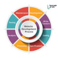 web development courses in Delhi logo - Similar company to Web India Solution.Net