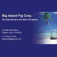 Big Island Fig Corp. logo - Similar company to Be Like Sam