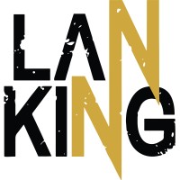 LAN King logo - Similar company to Martlet3D