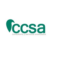 Ccsa Consultoria