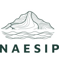 Naesip logo - Similar company to Gymstracker