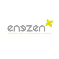 ENEZEN logo - Similar company to Mtl Construction
