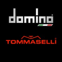 Domino Group logo - Similar company to Kibibits Srl