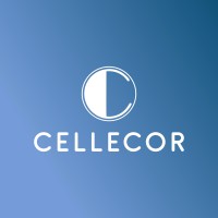 Cellecor Gadgets Ltd. logo - Similar company to Oner Network