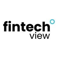 fintechview logo - Similar company to Instaxchange