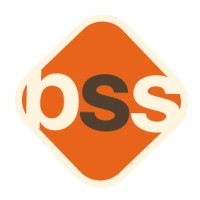 Broadbeach Surf School logo - Similar company to Surfari Surf School