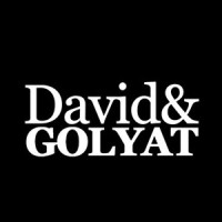 David & Golyat logo - Similar company to Dmap (Formerly Immap)