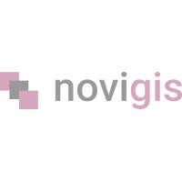 novigis logo - Similar company to Nextgis