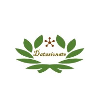 Datasionate logo - Similar company to Analytics Watch