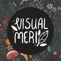 Visual Meri