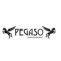 CONCERIA PEGASO S.P.A. logo - Similar company to Conceria Amaltea / Ingropelli Srl