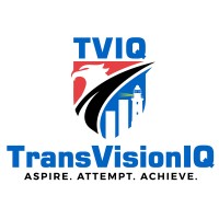 TransVisionIQ Consulting logo - Similar company to Trialta Advisory, Llc