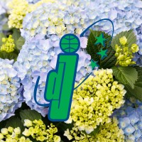 De Jong Plant B.V. logo - Similar company to Planthunters