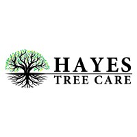 Hayes Tree Care logo - Similar company to Arboriculture Australia Ltd