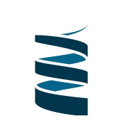 Integrated Dynamic Electron Solutions, Inc. logo - Similar company to Amiqo