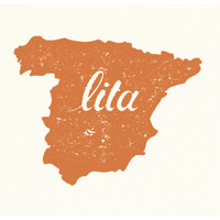LITA logo - Similar company to Bucharest Model Nato