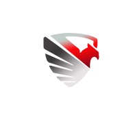 TEAM BLACK HAWK logo - Similar company to Sae Mace