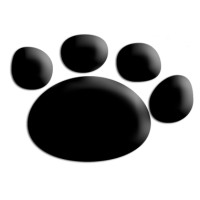 Mojocat Creative Services LLC logo - Similar company to Eye Of Edit