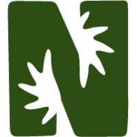 Nomari Creative logo - Similar company to Marc Wood Studio