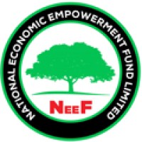 National Economic Empowerment Fund (NEEF) logo - Similar company to Mathcon