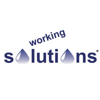 Working Solution Inc. logo - Similar company to Artificial Lntelligence Updates