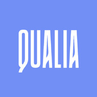 Qualia AI logo - Similar company to Qualia Ai Consulting