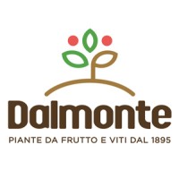 Dalmonte Vivai logo - Similar company to Listotech Decking Quartz