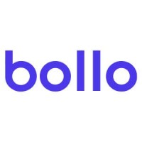 bollo.io logo - Similar company to Udbudshuset Aps