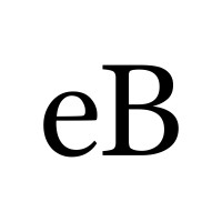 eBrands Partners, Inc. logo - Similar company to De Team