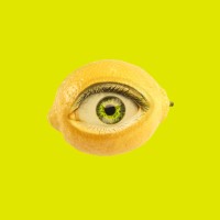 Yellow Fellow logo - Similar company to Replica.Works