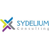 SYDELIUM Consulting logo - Similar company to Distriwan