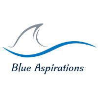 Blue Aspirations logo - Similar company to Echo Engenharia, Meio Ambiente E Segurança Do Trabalho