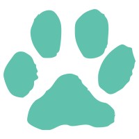 Fatcat Designs Pte Ltd