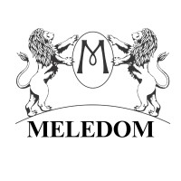 MELEDOM logo - Similar company to Allstod