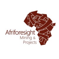 Afriforesight logo - Similar company to On Target Training And Development