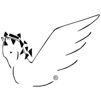 Pegaso Informatica Service S.r.l. logo - Similar company to Gsit Informatica