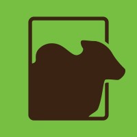 Nelore OL logo - Similar company to Nelore Tech