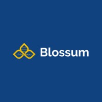 Blossum NZ logo - Similar company to High Finance