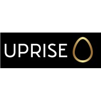 Uprise - Seamless Lighting For Your Space logo - Similar company to Chesapeake Construction Supply