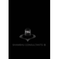 SHAMBHU CONSULTANTS logo - Similar company to Firebrand India