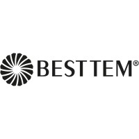 BESTTEM Global logo - Similar company to Sefa Modeka