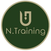 N Training logo - Similar company to Oyem Unity