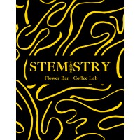 Stemistry logo - Similar company to Northbound Creative