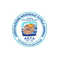 A.N.T.A. Sezione Isola di Capo Rizzuto logo - Similar company to International North Group