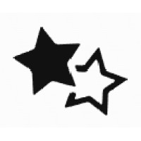 Women Shaping AI logo - Similar company to Triggerfish Solutions