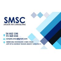CABINET MSCONSULTING logo - Similar company to Boosterimmo
