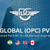 The DiveGlobal Pvt. Ltd. logo - Similar company to Safe Secure