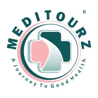 Meditourz logo - Similar company to The Boring Media, Llc
