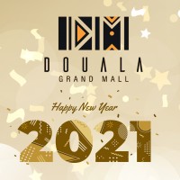 Douala Grand Mall and Business Park logo - Similar company to Douala Grand Mall