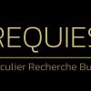 Particulier Recherchebureau Requies logo - Similar company to Recherchebureau Inquirens